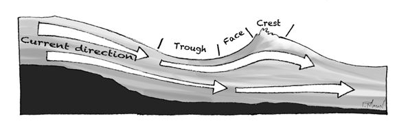 A drawing of a typical wave trough.