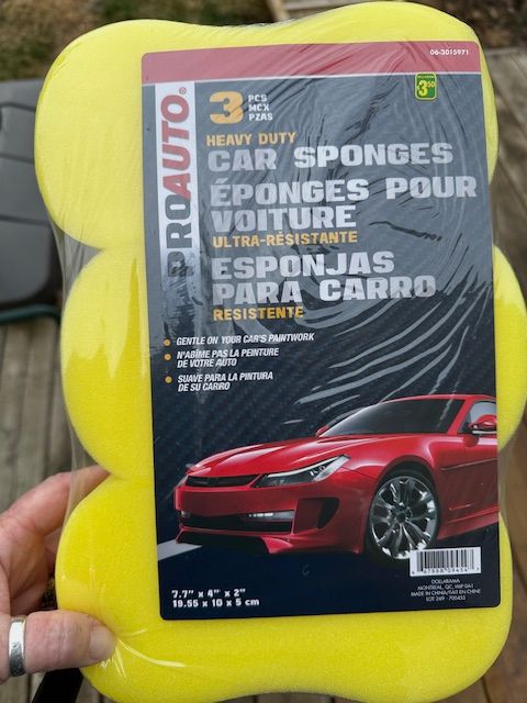 A photo of a sponge to turn into a fish for canoe games.