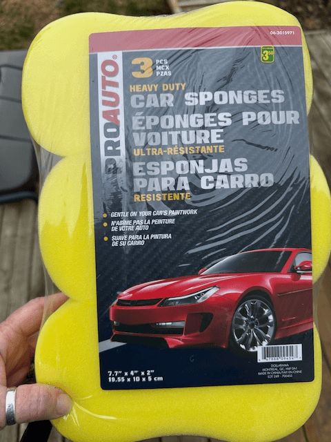 A photo of a sponge to turn into a fish for canoe games.