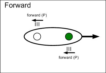 Forward stroke graphic.