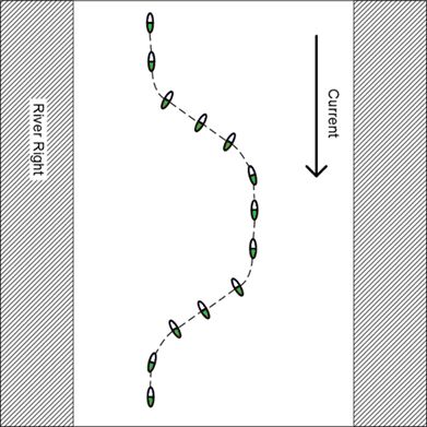 A drawing of a descending back ferry.