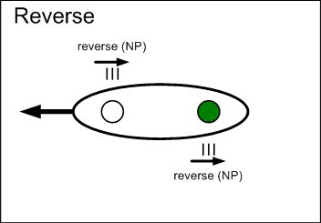 A drawing of a reverse stroke.